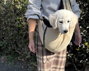 スリングでお散歩